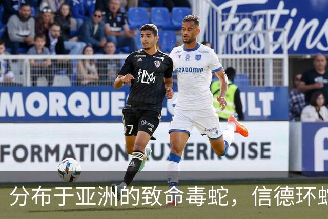 分布于亚洲的致命毒蛇，信德环蛇与国内银环蛇之较量