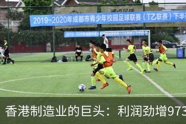 香港制造业的巨头：利润劲增973亿的隐形领军者
